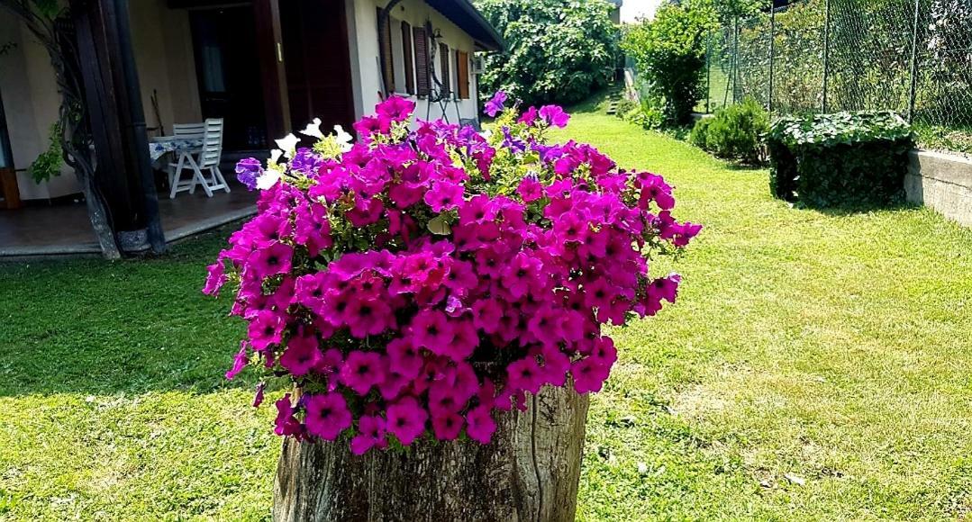 Albavilla B&B Margot المظهر الخارجي الصورة